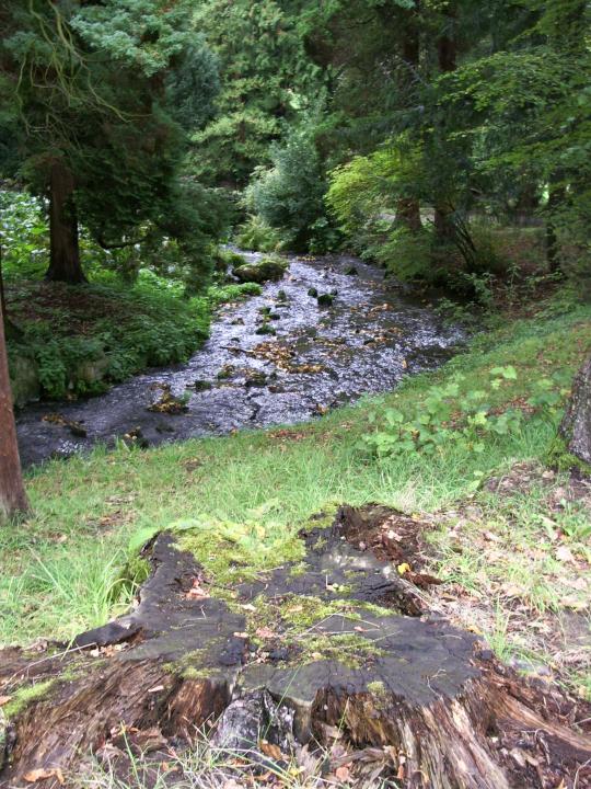 02.10.2005 17-44-36_0033 